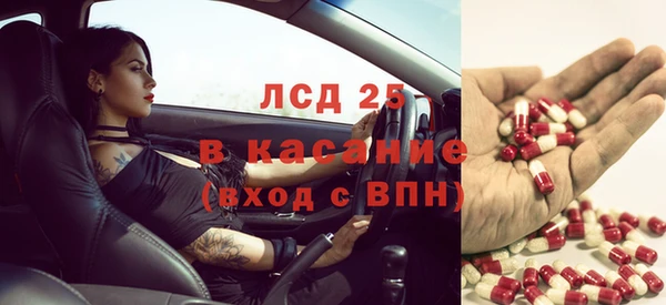 эйфоретик Сосновка