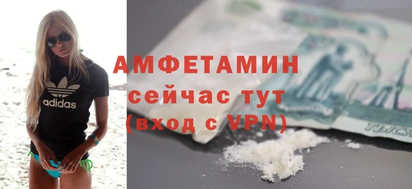 сатива Осташков