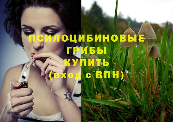 сатива Остров