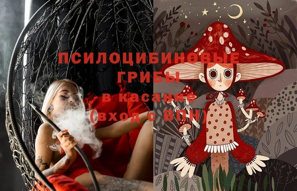 винт Струнино