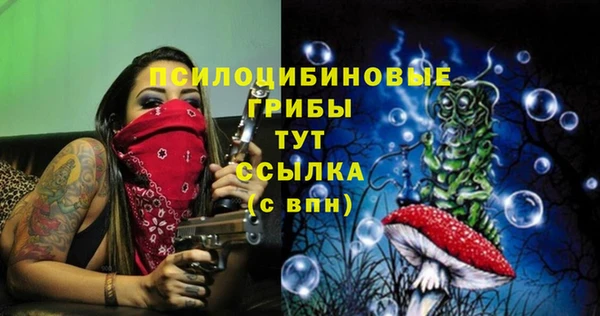 МДМА Верхний Тагил