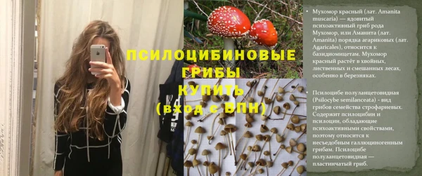 сатива Остров