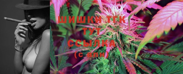 эйфоретик Сосновка