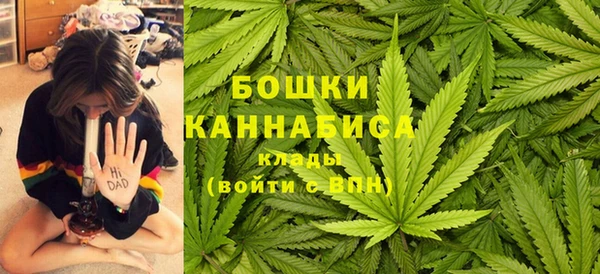 эйфоретик Сосновка