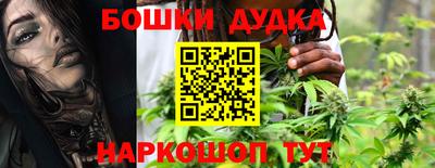 дмт Будённовск