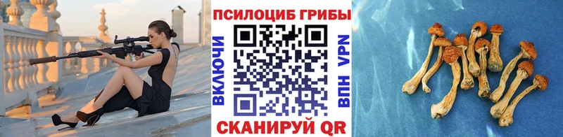 где купить наркоту  blacksprut сайт  Галлюциногенные грибы мицелий  Реутов 