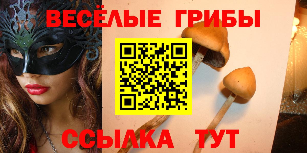 Реутов  Галлюциногенные грибы Cubensis  Галлюциногенные грибы ЛСД  Вход с VPN 