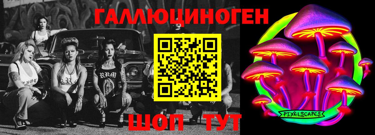 Псилоцибиновые грибы Psilocybine cubensis Реутов